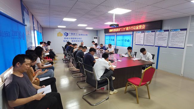分公司党支部书记、副总经理胡海云深刻牛湾岛项目宣贯《“三力”提升行动》；平ㄊ 摄建图）.jpg
